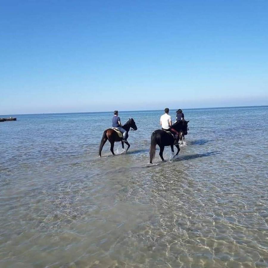 Bed and Breakfast Kite House Marsala Stagnone Екстер'єр фото